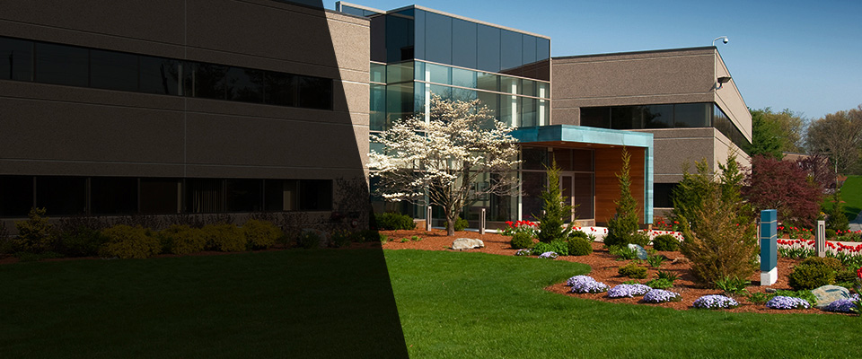 Ellicott City Landscapers