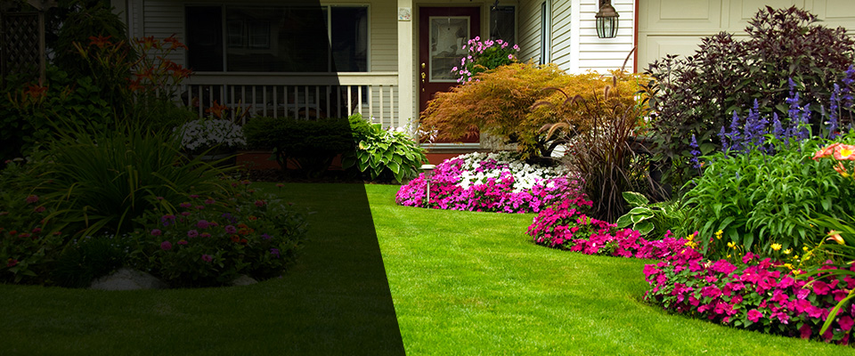 Ellicott City Landscapers